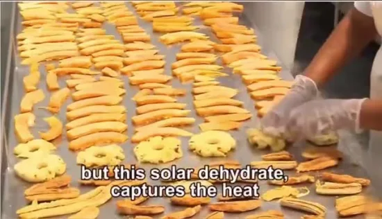 中国製高性能ソーラー果物野菜乾燥温室