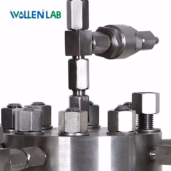 5L ステンレス鋼高圧工業用反応ケトル、連続撹拌タンクと電気ヒーター付き